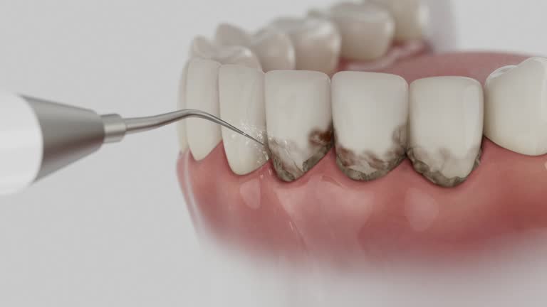 Reliable Dental contractor in Ingham County County, MI by Dentist Open Now